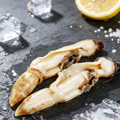 Fresh Razor Clam